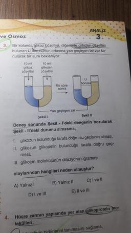 ANALİZ
3
ve Osmoz
3.
Bir kolunda glikoz çözeltisi, diğerinde glikojen çözeltisi
bulunan U borusunun ortasına yarı geçirgen bir zar ko-
nularak bir süre bekleniyor.
10 ml
glikoz
çözeltisi
10 ml
glikojen
çözeltisi
U
borusu
Bir süre
sonra
C
-Yarı geçirgen zar
Şekil 1
Şekil II
Deney sonunda Şekil -. I'deki dengenin bozularak
Şekil - Il'deki durumu almasına;
1. glikozun bulunduğu tarafa doğru su geçişinin olması,
II. glikozun glikojenin bulunduğu tarafa doğru geç-
mesi,
III. glikojen molekülünün difüzyona uğraması
olaylarından hangileri neden olmuştur?
C) I ve II
B) Yalnız II
A) Yalnız!
E) II ve III
D) I ve III
4.
Hücre zarının yapısında yer alan glikoprotein
mo-
lekülleri;
lorin hirbirlerini tanımasını sağlama,
