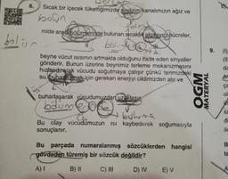 6.
Sıcak bir içecek tükettiğimizde sindirim kanalımızın ağız ve
bolun
mide arasi pöllimlerinde bulunan sıcaklık algılayıcı hücreler,
bolin
II
bolunden
9.
beyne vücut isisinin artmakta olduğunu ifade eden sinyaller
gönderir. Bunun üzerine beynimiz terleme mekanizmasını
hızlandırarak vücudu soğutmaya çalışır çünkü terimizdeki
su, buharlaşmak için gereken enerjiyi cildimizden alır ve
(1)
(11
da
Ör
ca
OGM
MATERYAL
buharlaşarak vücudumuzdan uzaklası.
ol
bdim ece
US
sa
Ca
bohrma
Bu olay vücudumuzun isi kaybederek soğumasıyla
sonuçlanır.
de
ile
B
Bu parçada numaralanmış sözcüklerden hangisi
gövdeden türemiş bir sözcük değildir?
ta
A)!
B) 11
C) III
D) IV E) V
