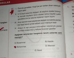 ORULAR
1.
Gö
10.
1. Özünde genellikle "övgü'ye yer verilen divan edebiyatı
Dü
nazim şekli
Bu
II. 5-15 beyit arasında değişen, ilk beytinin dizeleri birbiriy-
le, sonraki beyitlerin ikinci dizeleri birinci beyitle uyaklı,
ya
A
hangileri
E
genellikle lirik bir eda ile söylenen nazım biçimi
II. Aruz vezninin kısa kalıplarıyla değişik konularda yazılan,
her beyti kendi içinde kafiyeli uzun manzum eser
IV. Aruzun iki eşit parçaya bölünebilen kalıplarıyla yazılan
ve misra ortalarında iç kafiyesi bulunan gazeller
Aşağıdaki terimlerden hangisinin tanımı yukarıda veril-
memiştir?
cht vett
B) Kaside
A) Musammat
D) Mesnevi
Muhammes
E) Gazel
2.