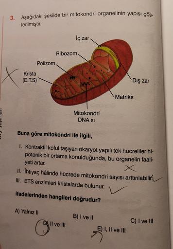 3. Aşağıdaki şekilde bir mitokondri organelinin yapısı gös-
terilmiştir.
iç zar
Ribozom
Polizom
Krista
(E.T.S)
Dış zar
Matriks
Mitokondri
DNA SI
Buna göre mitokondri ile ilgili,
1. Kontraktil koful taşıyan ökaryot yapılı tek hücreliler hi-
potonik bir orta