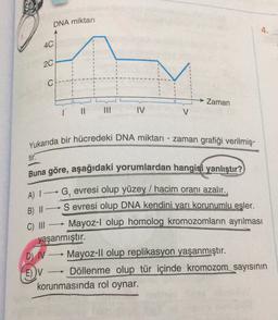 DNA miktarı
4.
40
2C
c
Zaman
IV
V
Yukarıda bir hücredeki DNA miktarı - zaman grafiği verilmiş.
tir.
Buna göre, aşağıdaki yorumlardan hangisi yanlıştır?
A) 1—- G, evresi olup yüzey / hacim oranı azalır.
B) || --Sevresi olup DNA kendini yarı korunumlu eşler.
C) III — Mayoz-l olup homolog kromozomların ayrılması
yaşanmıştır.
DN - Mayoz-ll olup replikasyon yaşanmıştır.
Döllenme olup tür içinde kromozom sayısının
korunmasında rol oynar.
-
E)V