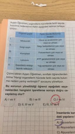 Ayşen Öğretmen, organellerin hücrelerde farklı sayıda
bulunma nedenlerine ilişkin aşağıdaki tabloyu tahtaya
çiziyor.
Organel Çeşidi
Mitokondri
Farklı Sayıda Bulunma
Nedeni
Hücre içi sindiriminin çok
veya az olması
Salgı faaliyetlerinin çok veya
az olması
Golgi aygıtı
III.
Kloroplast
Fotosentezin çok veya az
olması
IV.
Lizozom
V.
Granülsüz endop-
lazmik retikulum
ATP gereksiniminin çok veya
az olması
Yağ sentezinin çok veya az
olması
Çizimi bitiren Ayşen Öğretmen, sınıftaki öğrencilerden
birine "Hangi organellerin hücrede farklı sayıda bulun-
ma nedeni yanlış verilmiştir?" sorusunu yöneltiyor.
Bu sorunun yöneltildiği öğrenci aşağıdaki seçe-
neklerden hangisini işaretlerse soruyu doğru ce-
vaplamış olur?
A) I ve II
B) I ve III
C) I Ve IV
D) II, III ve v E) NII, IV ve v
insanlarda kan
daki yapıların
A
A) Alyuvarların
B) Akyuvarların
C) Alyuvarların