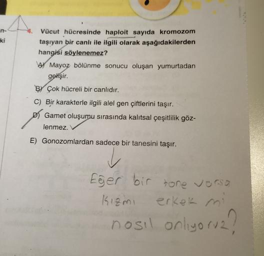 n-
ki
Vücut hücresinde haploit sayıda kromozom
taşıyan bir canlı ile ilgili olarak aşağıdakilerden
hangisi söylenemez?
A Mayoz bölünme sonucu oluşan yumurtadan
gelişir.
BY Çok hücreli bir canlıdır.
C) Bir karakterle ilgili alel gen çiftlerini taşır.
D Game