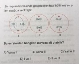 Bir hayvan hücresinde gerçekleşen bazı bölünme evre-
leri aşağıda verilmiştir.
8 8
of f
II
III
Bu evrelerden hangileri mayoza ait olabilir?
A) Yalnız 1
B) Yalnız II
C) Yalnız III
D) I ve II
E) II ve III