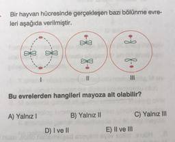 Bir hayvan hücresinde gerçekleşen bazı bölünme evre-
leri aşağıda verilmiştir.
8 8
of f
II
III
Bu evrelerden hangileri mayoza ait olabilir?
A) Yalnız 1
B) Yalnız II
C) Yalnız III
D) I ve II
E) II ve III
