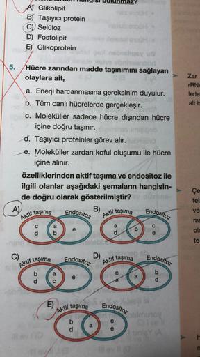 A) Glikolipit
B) Taşıyıcı protein
C) Selüloz
D) Fosfolipit
E) Glikoprotein
Zar
rRN
lerle
alt b
5. Hücre zarından madde taşınımını sağlayan
olaylara ait,
SO
a. Enerji harcanmasına gereksinim duyulur.
b. Tüm canlı hücrelerde gerçekleşir.
c. Moleküller sadece