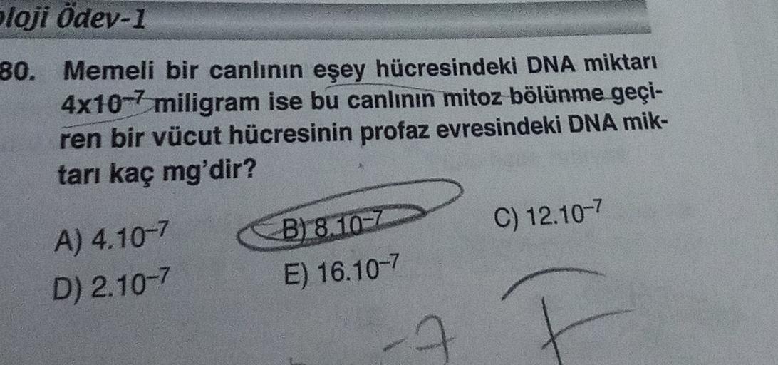 bloji ödev-1
80. Memeli bir canlının eşey hücresindeki DNA miktarı
4x10-7 miligram ise bu canlının mitoz bölünme geçi-
ren bir vücut hücresinin profaz evresindeki DNA mik-
tarı kaç mg'dir?
C) 12.10-7
A) 4.10-7
D) 2.10-7
B) 8.10-7
E) 16.10-7
