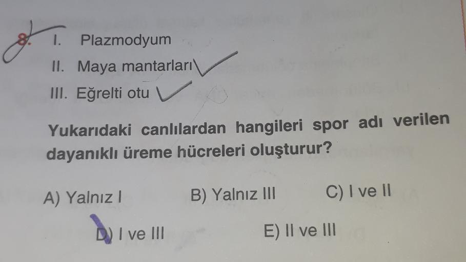 1. Plazmodyum
II. Maya mantarları
III. Eğrelti otu v
Yukarıdaki canlılardan hangileri spor adı verilen
dayanıklı üreme hücreleri oluşturur?
A) Yalnız!
B) Yalnız III
C) I ve 11
DI ve III
Dive
E) II ve III
