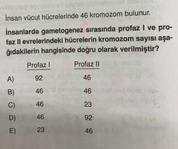 İnsan vücut hücrelerinde 46 kromozom bulunur.
İnsanlarda gametogenez sırasında profaz I ve pro-
faz ll evrelerindeki hücrelerin kromozom sayısı aşa-
ğıdakilerin hangisinde doğru olarak verilmiştir?
Profazl
Profaz II
A)
92
46
B)
46
46
C)
46
23
D)
46
92
E)
23
46