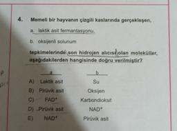 4.
Memeli bir hayvanın çizgili kaslarında gerçekleşen,
a. laktik asit fermantasyonu,
b. oksijenli solunum
tepkimelerinde son hidrojen alıcısı olan moleküller,
aşağıdakilerden hangisinde doğru verilmiştir?
P
a
b
Su
om
A) Laktik asit
B) Pirüvik asit
Oksijen
Karbondioksit
C)
FAD+
D) Pirüvik asit
NAD+
E)
NAD+
Pirüvik asit
