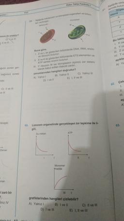 Odev Takip Fasikulo-1
Aşağıda verile
larında bulun
Organ
TYT
senter...
Hücre
x
Asagida mitokondri ve kloroplast organelleri ve bölüm
59.
Kloroplast
Y
leri verilmiştir
Mitokondri
M
Z
N
T
K
sizom ile ortaktır?
C) ve III
7. Il ve in
Buna göre,
1. Z ve L ile gösterilen bölümlerde DNA, RNA, enzim
Bu tabla
1 X ca
Il. Y ca
III. Z ca
IV. TC
açıkla
A) Y
ve ribozom bulunur.
II. X ve Kile gösterilen bölümlerde ETS elemanları ve
ATP sentaz enzimi bulunur.
III. Y ribozom M ise kloroplastın üçüncü zar sistemi
ağımlı evresi ger-
bağımsız evresi
C) Yalnız III
olarak kabul edilen tilakoid zardır.
yorumlarından hangileri doğrudur?
A) Yalnız! B) Yalnız II
D) I ve II
E) I, II ve III
idir.
62. Çek
C) II ve III
Je III
aç
A
Filmiştir.
63.
60. Lizozom organelinde gerçekleşen bir tepkime ile il-
gili,
Su miktari
ATP
Zaman
t
II
Monomer
Amadde
aman
i zarlı bir
Iniz IV
.
grafiklerinden hangileri çizilebilir?
A) Yalnız! B) I ve 11
C) II ve III
D) I ve III
E) I, II ve III
BİYOL
