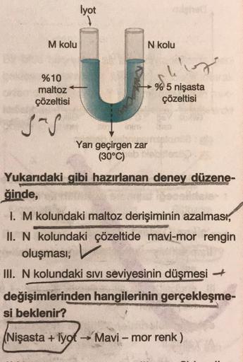 Iyot
M kolu
N kolu
or
%10
maltoz
çözeltisi
% 5 nişasta
çözeltisi
sos
Yarı geçirgen zar
(30°C)
Yukarıdaki gibi hazırlanan deney düzene-
ğinde,
I. M kolundaki maltoz derişiminin azalması,
II. N kolundaki çözeltide mavi-mor rengin
oluşması,
III. N kolundaki s