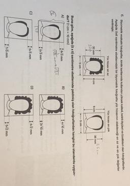 6. Biyometrik vesikalık fotoğraflar, kimlik kartlarında kullanılan yüksek kaliteli, belirli ölçüleri ve özellikleri olan fotoğraflardır.
Aşağıda 5x6 santimetre ebatlarındaki bir biyometrik fotoğrafta yüz hizasının alabileceği en az ve en çok değerler
verilmiştir.
Yüz hizası en az
Yüz hizası en çok
36cm
1
3,241
36 mm
32 mm
6 cm
6 cm
5 cm
5 cm
Buna göre, aşağıda (5 x 6) santimetre ebatlarında çekilmiş olan fotoğraflardan hangisi bu standarda uygun-
dur? (1 cm = 10 mm)
A)
| 873 mm
B)
14/10 mm
(192
mm $19, 2
573 mm
4 3/10 mm
25
C)
575 mm
D)
472 mm
715 mm
5/2 mm
