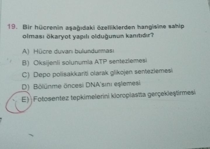 19. Bir hücrenin aşağıdaki özelliklerden hangisine sahip
olması ökaryot yapılı olduğunun kanıtıdır?
A) Hücre duvarı bulundurması
B) Oksijenli solunumla ATP sentezlemesi
C) Depo polisakkariti olarak glikojen sentezlemesi
D) Bölünme öncesi DNA'sını eşlemesi