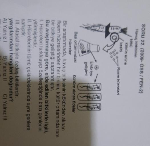 SORU 22. (2009-OSS/FEN-2)
Havuç bitkisinin
kolo
Kökün enine
kesiti
Floem hücreleri
000
Embriyo
gelişimi
HUF
Besi ortamındala Kültüre alinan fideler
hücreler
Bir araştırmada, havuç bitkisinin kökünden alınan
floem hücrelerinden her birinin, kültür ortamında