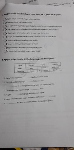 **AYOZ BÖLÜNK
Treme hücresidir
okil ve kalita ozelliklere
A. Aşağıda verilen cümlelerin başına cumle doğru ise "D" yanlış ise "Y" yazınız.
Eşeyli üreyen canlalarda mayoz bölünme görülür.
Mayoz bölünme tek aşamada oluşur.
2n kromozom sayısına sahip canlilar