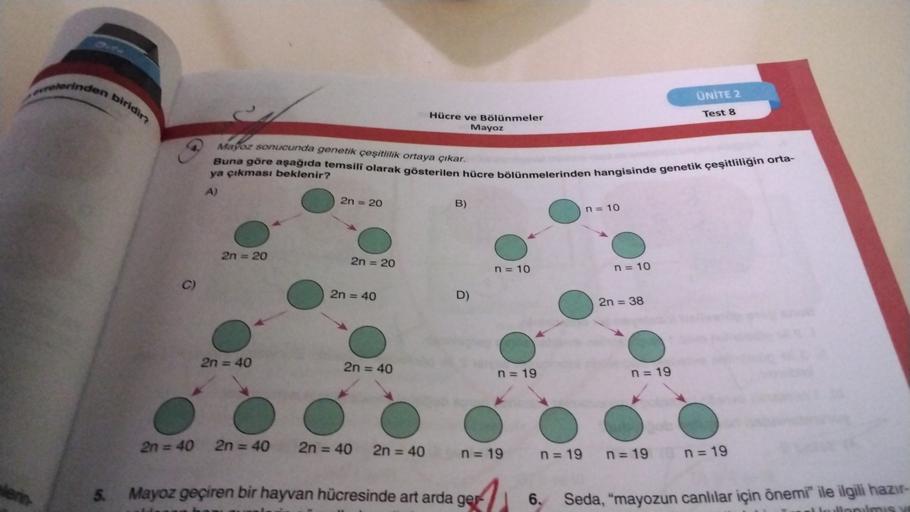 rinden biridir
ÜNİTE 2
Test 8
Hücre ve Bölünmeler
Mayoz
Mayor sonucunda genetik çeşitlilik ortaya çıkar.
ya çıkması beklenir?
Buna göre aşağıda temsili olarak gösterilen hücre bölünmelerinden hangisinde genetik çeşitliliğin orta-
A)
B)
2n = 20
n = 10
2n = 