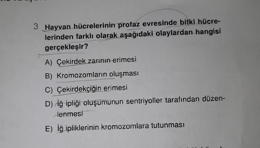 3 Hayvan hücrelerinin profaz evresinde bitki hücre-
lerinden farklı olarak aşağıdaki olaylardan hangisi
gerçekleşir?
A) Çekirdek zarının erimesi
B) Kromozomların oluşması
C) Çekirdekçiğin erimesi
D) iğ ipliği oluşumunun sentriyoller tarafından düzen-
Jenme