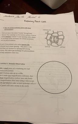 Melanie Perla persed 6
Exploring Plant Cells
Co
I. How do plants exchange gases with their
environment?
SURFACE VIEW
Pc
Did you know that plants 'breathe' through their
leaves? Tiny openings on the bottom surface of leaves
called stomata (“stoma" is one op