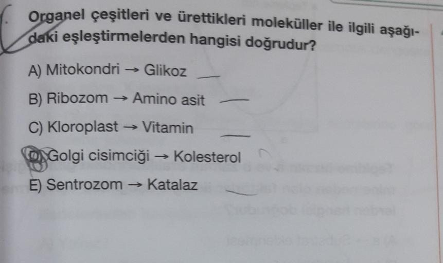 Organel çeşitleri ve ürettikleri moleküller ile ilgili aşağı-
daki eşleştirmelerden hangisi doğrudur?
A) Mitokondri → Glikoz
B) Ribozom
→ Amino asit
C) Kloroplast → Vitamin
-
O Golgi cisimciği → Kolesterol
E) Sentrozom → Katalaz
