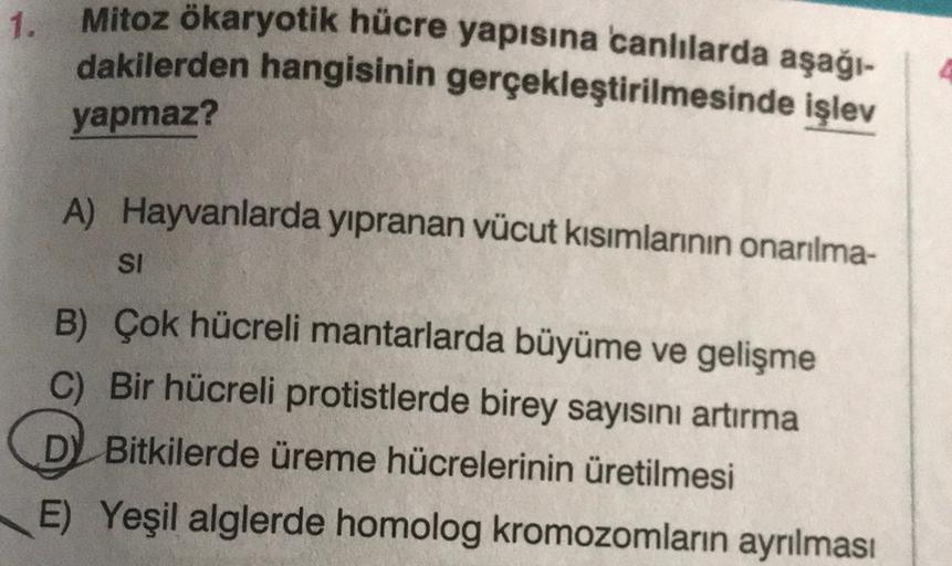 1.
Mitoz ökaryotik hücre yapısına canlılarda aşağı-
dakilerden hangisinin gerçekleştirilmesinde işlev
yapmaz?
A) Hayvanlarda yıpranan vücut kısımlarının onarılma-
SI
B) Çok hücreli mantarlarda büyüme ve gelişme
C) Bir hücreli protistlerde birey sayısını ar