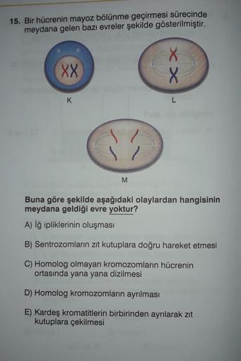 15. Bir hücrenin mayoz bölünme geçirmesi sürecinde
meydana gelen bazı evreler şekilde gösterilmiştir.
.
88
XX
K
L
M
Buna göre şekilde aşağıdaki olaylardan hangisinin
meydana geldiği evre yoktur?
A) Iğ ipliklerinin oluşması
B) Sentrozomların zıt kutuplara d