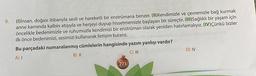 9.
(Dinsan, doğası itibarıyla sesli ve hareketli bir enstrümana benzer. (11)Kendimizle ve çevremizle bağ kurmak
anne karnında kalbin atışıyla ve herşeyi duyup hissetmemizle başlayan bir süreçtir. (III)Sağlıklı bir yaşam için
öncelikle bedenimizle ve ruhumuzla kendimizi bir enstrüman olarak yeniden hatırlamalıyız. (IV)Çünkü bizler
ilk önce bedenimizi, sesimizi kullanarak iletişim kurarız.
Bu parçadaki numaralanmış cümlelerin hangisinde yazım yanlışı vardır?
AI
B) 11
C) III
D) IV
223
