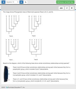 Question 16
a
Q Review / Finish Test
ABG
The image shows Phylogenetic trees of Mammal's species (Trees A, B, C, and D).
A B C D E F
B C D E
F A
Tree A
Tree B
A B F EDC
B E FDCA
Tree C
Tree D
Based on the diagram, which of the following trees show similar e