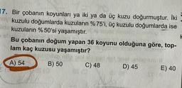 17. Bir çobanın koyunları ya iki ya da üç kuzu doğurmuştur. İki
kuzulu doğumlarda kuzuların %75'i, üç kuzulu doğumlarda ise
lid kuzuların %50'si yaşamıştır.
st
Bu çobanın doğum yapan 36 koyunu olduğuna göre, top-
lam kaç kuzusu yaşamıştır?
A) 54
B) 50
C) 48
D) 45
E) 40
