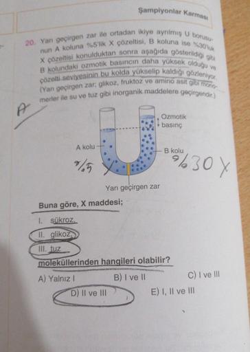 Şampiyonlar Karmasi
20. Yan geçirgen zar ile ortadan ikiye ayrılmış U borusu
nun A koluna %5'lik X çözeltisi, B koluna ise %30'luk
X çözeltisi konulduktan sonra aşağıda gösterildiği gibi
B kolundaki ozmotik basıncın daha yüksek olduğu ve
çözelti seviyesini