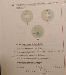 20.
18. Bir canlıda gözlenen mayoz bölünme evrelerine ait şekiller aşa-
ğıda verilmiştir.
end
L
K
M
Bu bölünme evreleri ile ilgili olarak,
I. Kevresi M'den sonra gerçekleşir.
. .
+ II. L; mayoz l'de görülür. hamolog kromazı ayrilig
+
+
III. Mevresinde 4 kromozom bulunur.
IV. K ve Levresinde kromozom sayısı farklıdır.
yargılarından hangileri doğrudur?
A) Yalnız!
B) I ve III
C) II ve III
D) I, III ve IV
E) VI, III ve IV
