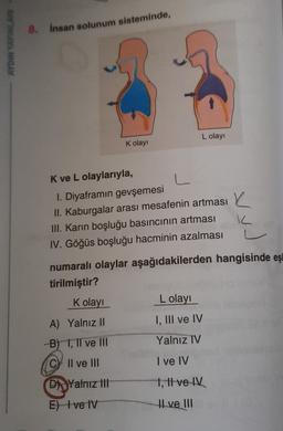 8. Insan solunum sisteminde,
AYDIN YAYINLARI
L olayı
Kolay
L
K ve L olaylarıyla,
1. Diyaframın gevşemesi
II. Kaburgalar arası mesafenin artması
III. Karın boşluğu basıncının artması
IV. Göğüs boşluğu hacminin azalması
K
K
numaralı olaylar aşağıdakilerden hangisinde eşi
tirilmiştir?
Kolayı
Lolayı
A) Yalnız II
I, III ve IV
B) 1, II ve III
Yalnız IV
Il ve III
I ve IV
D) Yalnız Ill
E) ve IV
1, II ve IV
I ve III