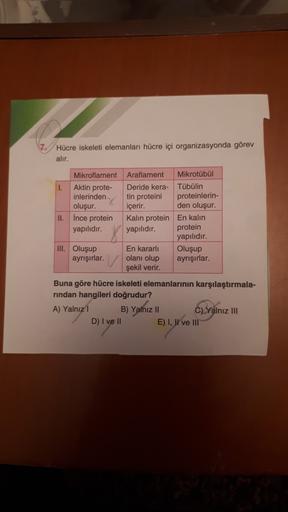 Hücre iskeleti elemanları hücre içi organizasyonda görev
alir.
Mikroflament Araflament Mikrotübül
I. Aktin prote- Deride kera- Tübülin
inlerinden tin proteini proteinlerin-
oluşur. içerir. den oluşur.
II.
Ince protein
Kalin protein En kalın
yapılıdır. yapı