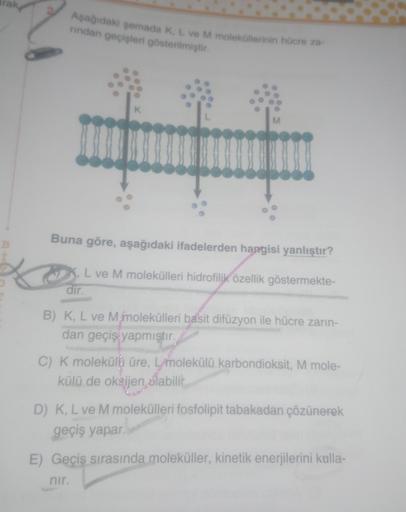 Aşağıdaki semada K, L ve M moleküllerinin hücre za-
nindan geçişleri gösterilmiştir.
Buna göre, aşağıdaki ifadelerden hangisi yanlıştır?
L ve M molekülleri hidrofilik özellik göstermekte-
dir
B) K, L ve M molekülleri basit difüzyon ile hücre zarın-
dan geç