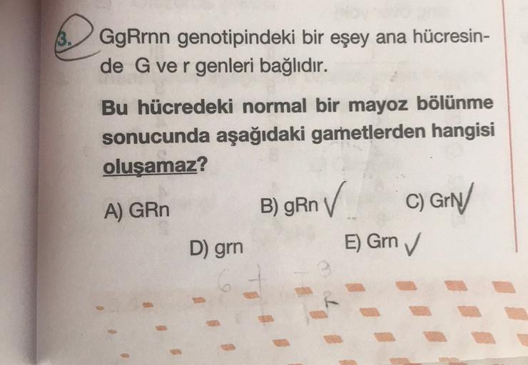 3.
GgRrnn genotipindeki bir eşey ana hücresin-
de G ver genleri bağlıdır.
Bu hücredeki normal bir mayoz bölünme
sonucunda aşağıdaki gametlerden hangisi
oluşamaz?
) Rn
C) GN
D) grn
E) Grn ✓
B) GROV
in
A) GRn