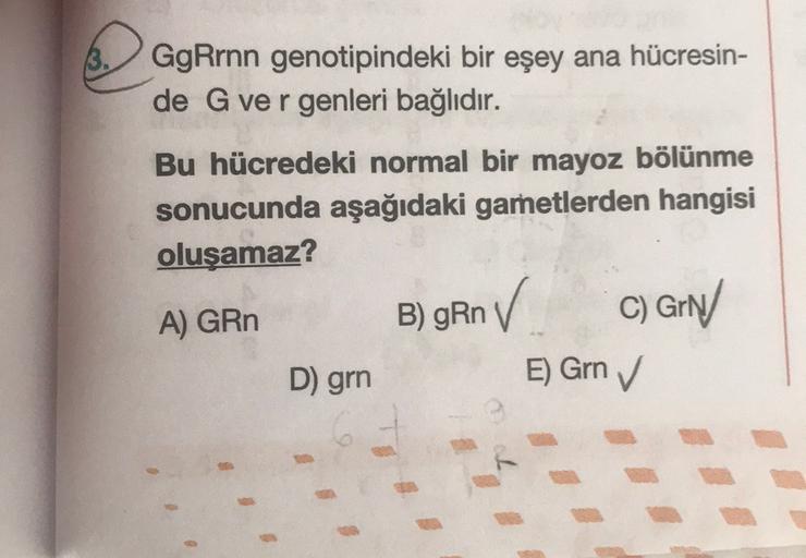 3.
GgRrnn genotipindeki bir eşey ana hücresin-
de G ver genleri bağlıdır.
Bu hücredeki normal bir mayoz bölünme
sonucunda aşağıdaki gametlerden hangisi
oluşamaz?
) Rn
C) GN
D) grn
E) Grn ✓
B) GROV
in
A) GRn
