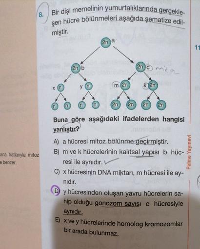 8.
Bir dişi memelinin yumurtalıklarında gerçekle-
şen hücre bölünmeleri aşağıda şematize edil-
miştir.
2n a
11
2no mita
2nb
yn
m 2n
x in
k 2n
n
n
2n
2n
n
2n
2n
Buna göre aşağıdaki ifadelerden hangisi
yanlıştır?
ana hatlarıyla mitoz
e benzer.
Palme Yayınevi