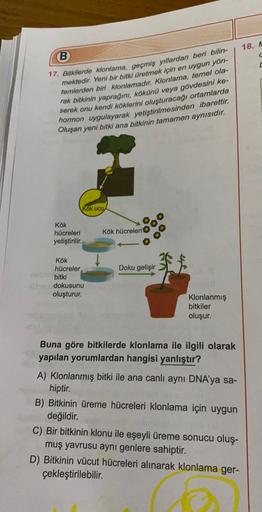 18. A
(B
17. Bitkilerde klonlama, geçmiş yıllardan beri bilin-
mektedir. Yeni bir bitki üretmek için en uygun yön-
temlerden biri klonlamadır. Klonlama, temel ola-
rak bitkinin yaprağını, kökünü veya gövdesini ke-
serek onu kendi köklerini oluşturacağı ort