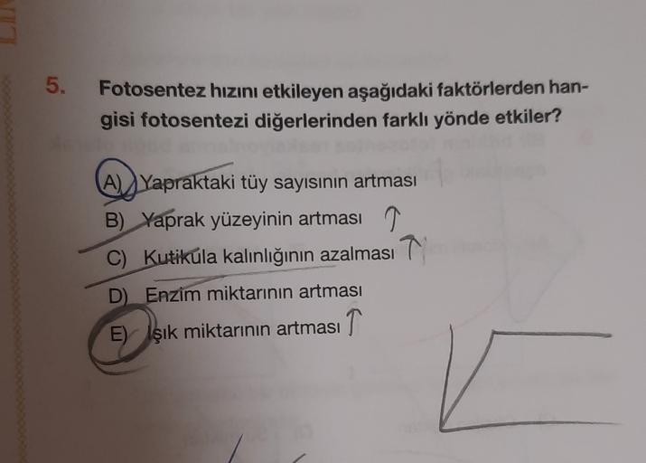 5.
Fotosentez hızını etkileyen aşağıdaki faktörlerden han-
gisi fotosentezi diğerlerinden farklı yönde etkiler?
A) Yapraktaki tüy sayısının artması
B) Yaprak yüzeyinin artması 7
C) Kutikula kalınlığının azalması 7
D) Enzim miktarının artması
E) Işık miktar