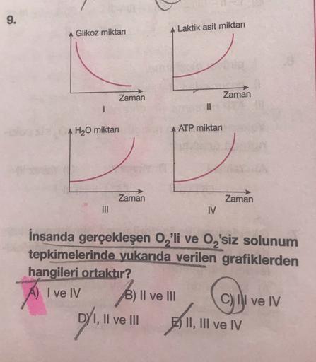 9.
Glikoz miktarı
Laktik asit miktarı
Zaman
Zaman
II
H2O miktari
ATP miktari
Zaman
Zaman
I
İnsanda gerçekleşen O,'li ve O'siz solunum
tepkimelerinde yukarıda verilen grafiklerden
hangileri ortaktır?
I ve IV B) II ve III C) Il ve IV
DY1, II ve III II, III v