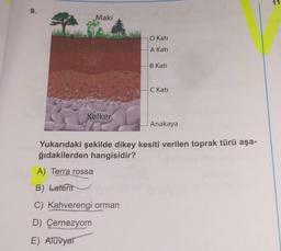 11
Maki
O Kati
A Kati
B Kati
C Kati
Kalker
Anakaya
Yukarıdaki şekilde dikey kesiti verilen toprak türü aşa-
ğıdakilerden hangisidir?
A) Terra rossa
B) Laterit
C) Kahverengi orman
D) Çernezyom
E) Aluvyat
