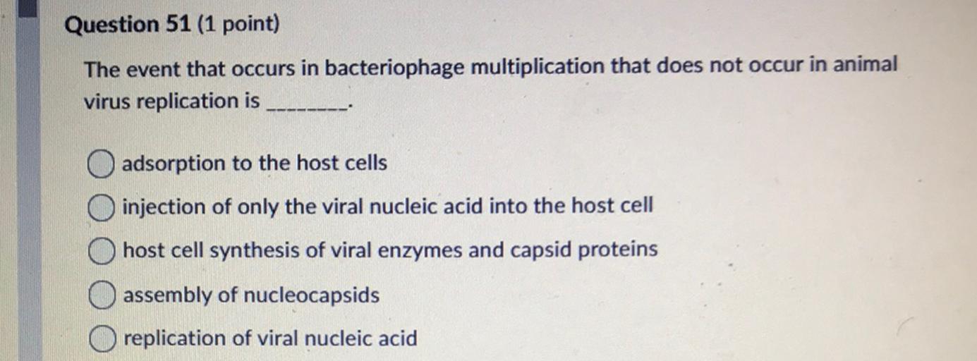 Question 51 (1 point)
The event that occurs in bacteriophage multiplication that does not occur in animal
virus replication is
O adsorption to the host cells
injection of only the viral nucleic acid into the host cell
host cell synthesis of viral enzymes and capsid proteins
assembly of nucleocapsids
replication of viral nucleic acid