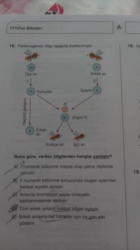 TYT/Fen Bilimleri
A
16. Partenogenez olayı aşağıda özetlenmiştir.
18. AS
2n
yol-
Dişi an
Erkek ari
n) Yumurta
Sperman
III
Haploit gelişimi
2n) (Zigot 9)
n Erkek
ari
Kraliçe an
İşçi an
Buna göre, verilen bilgilerden hangisi yanlıştır?
19.
A) numaralı bölünm