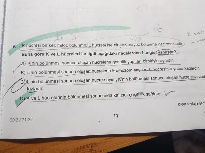 16
9.
K hücresi bir kez mitoz bölünme, L hücresi ise bir kez mayoz bölünme geçirmektedir.
Buna göre K ve L hücreleri ile ilgili aşağıdaki ifadelerden hangisi yanlıştır?
A) K'nin bölünmesi sonucu oluşan hücrelerin genetik yapıları birbiriyle aynıdır.
B) L'n