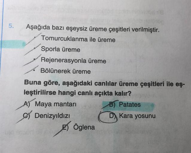 5.
Aşağıda bazı eşeysiz üreme çeşitleri verilmiştir.
Tomurcuklanma ile üreme
Sporla üreme
Rejenerasyonla üreme
Bölünerek üreme
Buna göre, aşağıdaki canlılar üreme çeşitleri ile eş-
leştirilirse hangi canlı açıkta kalır?
A Maya mantarı B) Patates
Denizyıldı