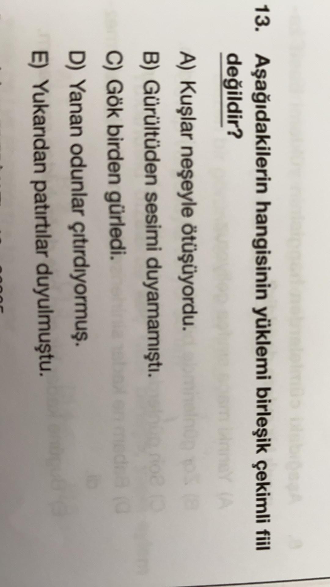 13. Aşağıdakilerin hangisinin yüklemi birleşik çekimli fiil
değildir?
A) Kuşlar neşeyle ötüşüyordu.
B) Gürültüden sesimi duyamamıştı.
C) Gök birden gürledi.
D) Yanan odunlar çıtırdıyormuş.
E) Yukandan patırtılar duyulmuştu.
