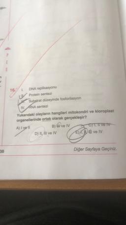 E
5
16.
L DNA replikasyonu
Protein sentezi
Substrat düzeyinde fosforilasyon
IV. ANA sentezi
Yukandaki olaylann hangileri mitokondri ve kloroplast
organellerinde ortak olarak gerçekleşir?
A) I ve i
B) ül ve IV Cl, i Ve TV
D) II, III ve IV
ve IV
38
Diğer Sayfaya Geçiniz.
