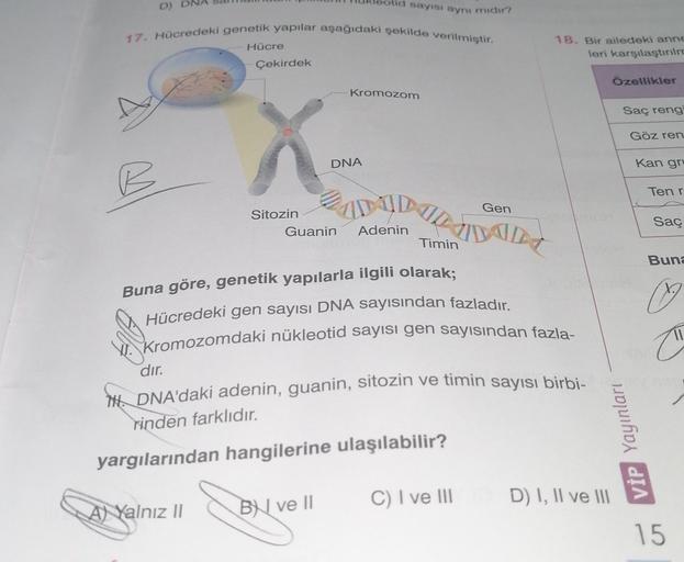 D) sayısı ayni midir? 17. Hücredeki gen… Ortaokul Fen Bilgisi D) sayısı ayni midir? 17. Hücredeki gen… Ortaokul Fen Bilgisi