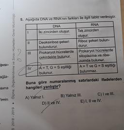 5. Aşağıda DNA ve RNA'nın farkları ile ilgili tablo verilmiştir.
DNA
İki zincirden oluşur.
II
Deoksiriboz şekeri
bulundurur.
Prokaryot hücrelerde
çekirdekte bulunur.
Ölçme, Değerlendirme ve Sınav Hizmetleri Genel Müdürlüğü
RNA
Tek zincirden
oluşur.
Riboz şekeri bulun-
durur.
Prokaryot hücrelerde
sitoplazma ve ribo-
zomda bulunur.
A= T ve G = S eşitliği
bulunmaz.
III
PISI-
IV
A = T, G = S eşitliği
bulunur.
ağla-
Buna göre numaralanmış satırlardaki ifadelerden
hangileri yanlıştır?
Isina
Fimin
A) Yalnız I. B) Yalnız III. C) I ve III.
D) II ve IV.
E) I, II ve IV.
B 2018 - 2019
