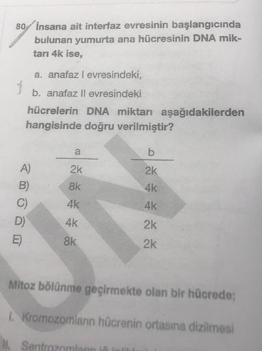 80/ insana ait interfaz evresinin başlangıcında
bulunan yumurta ana hücresinin DNA mik-
tarı 4k ise,
a. anafaz l evresindeki,
3
b. anafaz ll evresindeki
hücrelerin DNA miktarı aşağıdakilerden
hangisinde doğru verilmiştir?
b
2k
2k
8k
A)
B)
C)
D)
4k
ř Ž
4K
4